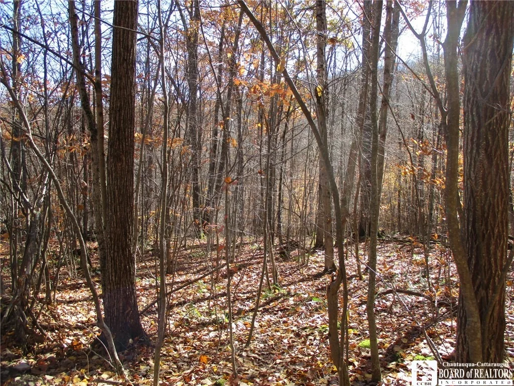 Photo of Gordon Brook