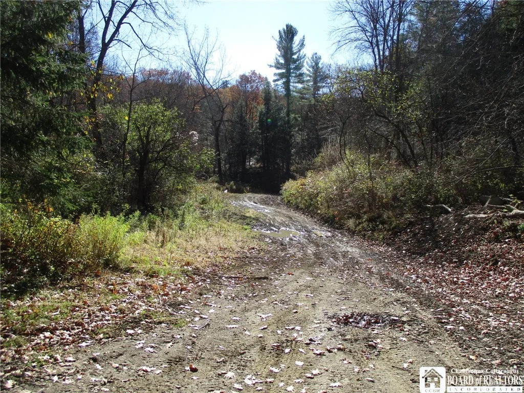 Photo of Gordon Brook