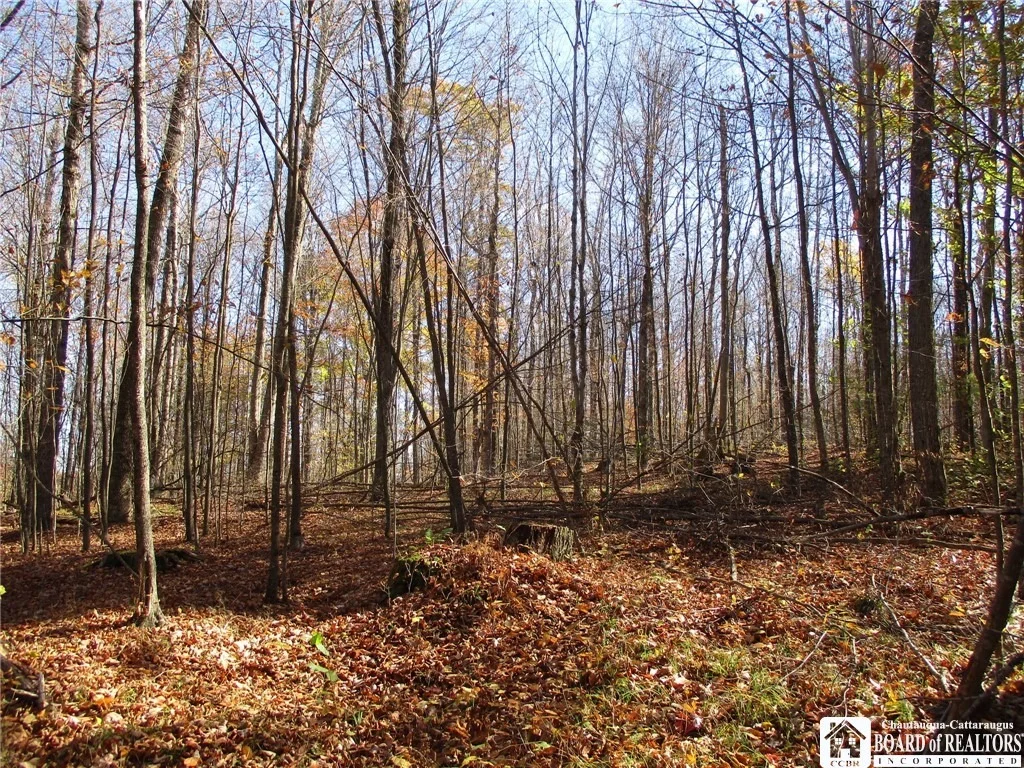 Photo of Gordon Brook