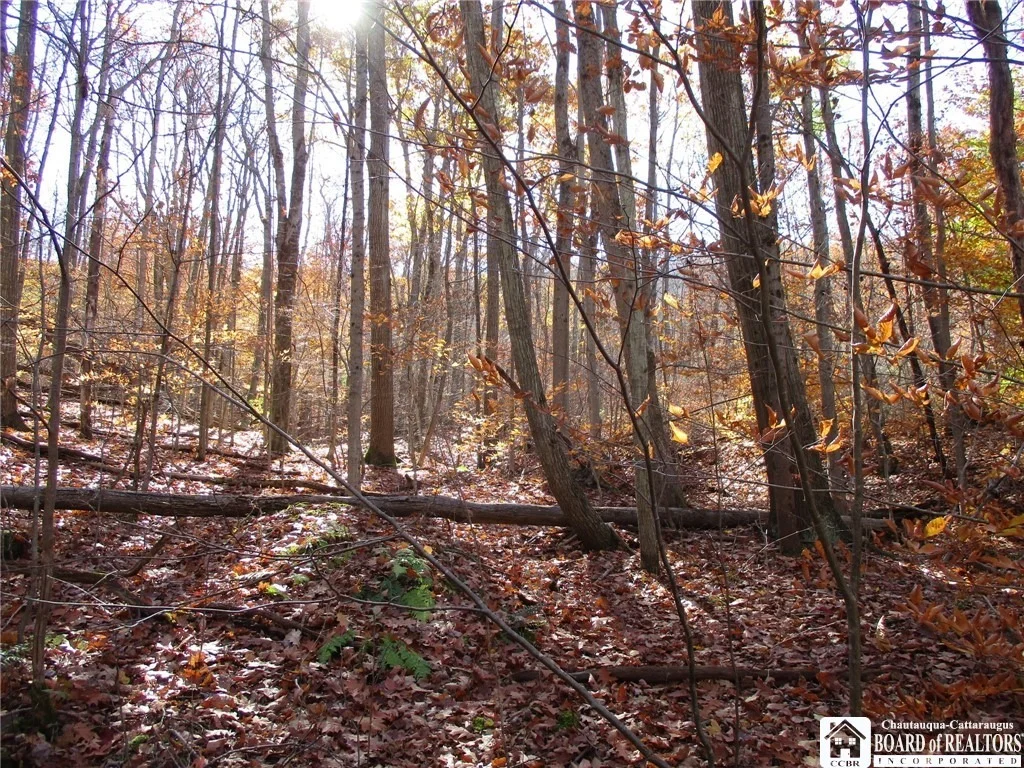 Photo of Gordon Brook