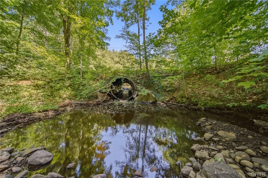 Photo of 83 Knapp Road