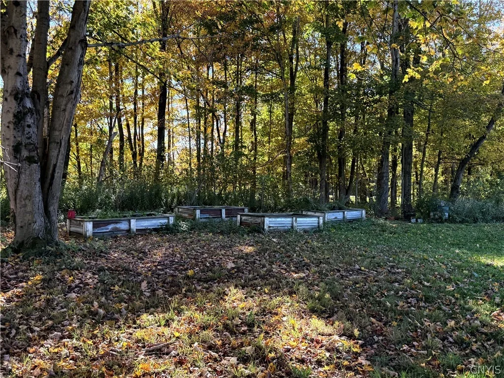 Photo of 392 Albion Cross Road
