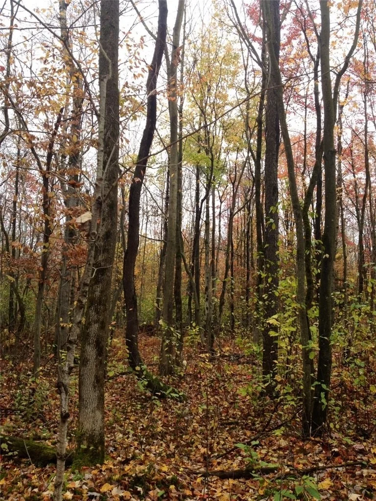 Photo of 188 Cummings Road