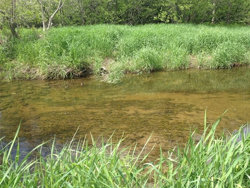 Photo of 188 Cummings Road