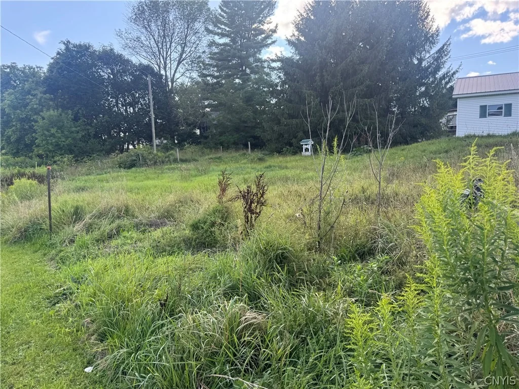 Photo of 981 State Route 51