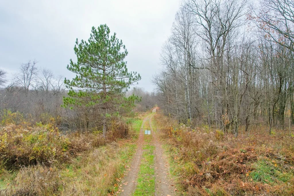 Photo of 188 Cummings Road