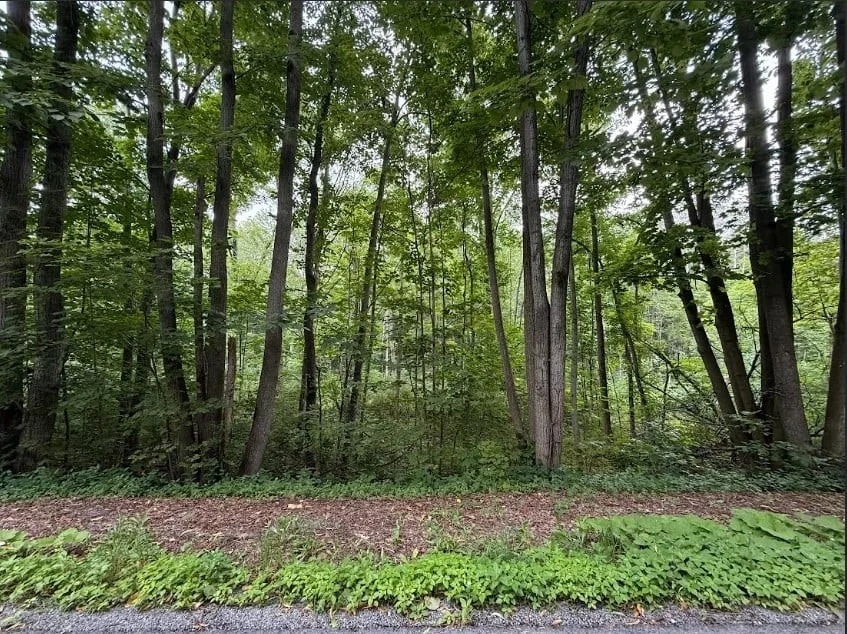 Photo of 7044 Laraway Road