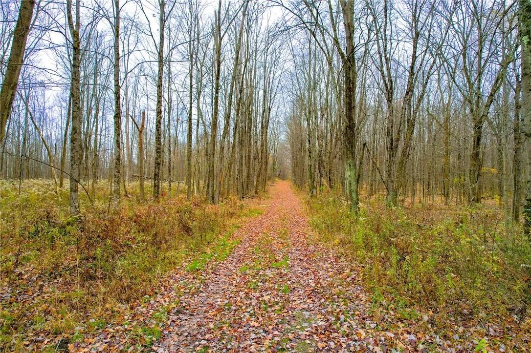 Photo of 188 Cummings Road