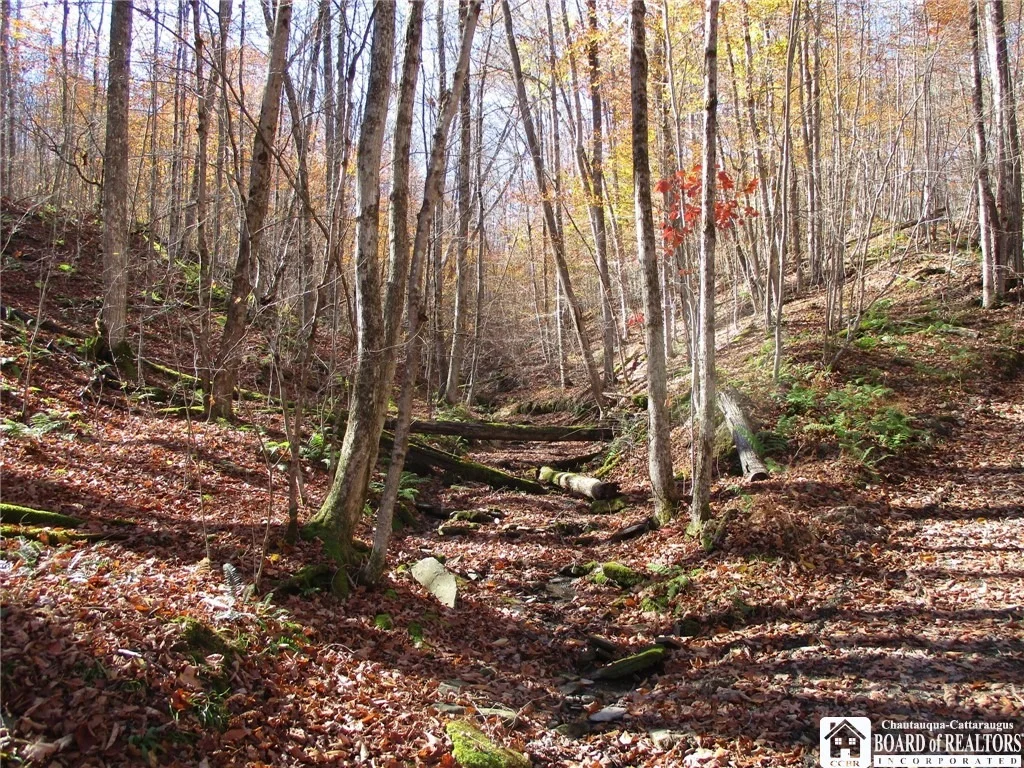 Photo of Gordon Brook