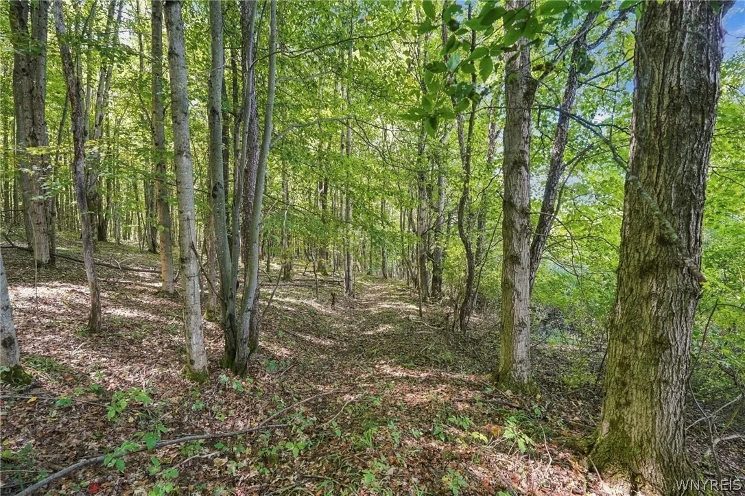 Photo of 3438 County Road 6