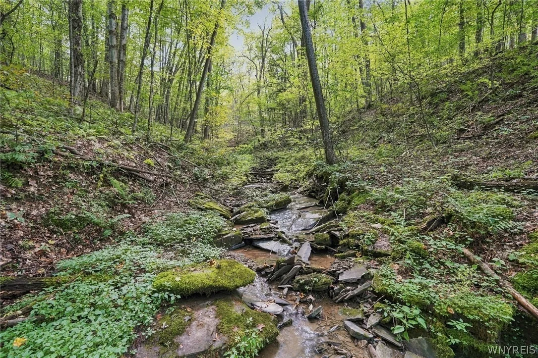 Photo of 3438 County Road 6