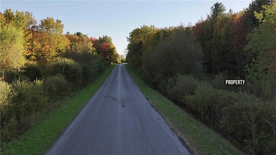 Photo of 273 White Road