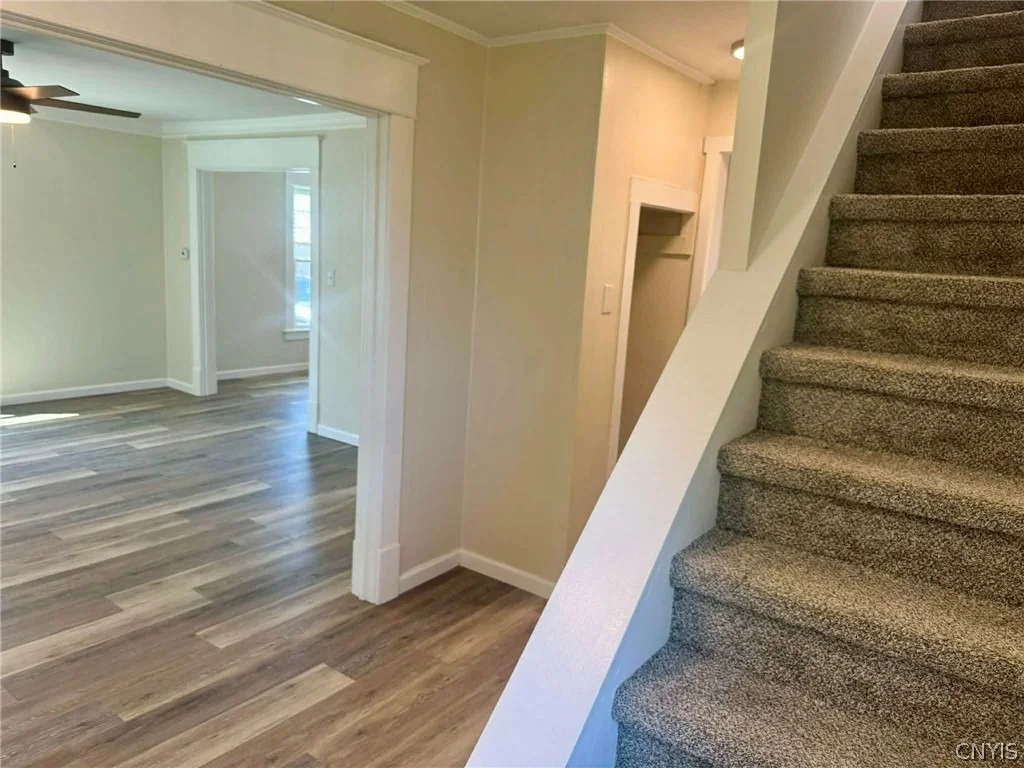 Photo of 101 Steuben Avenue
