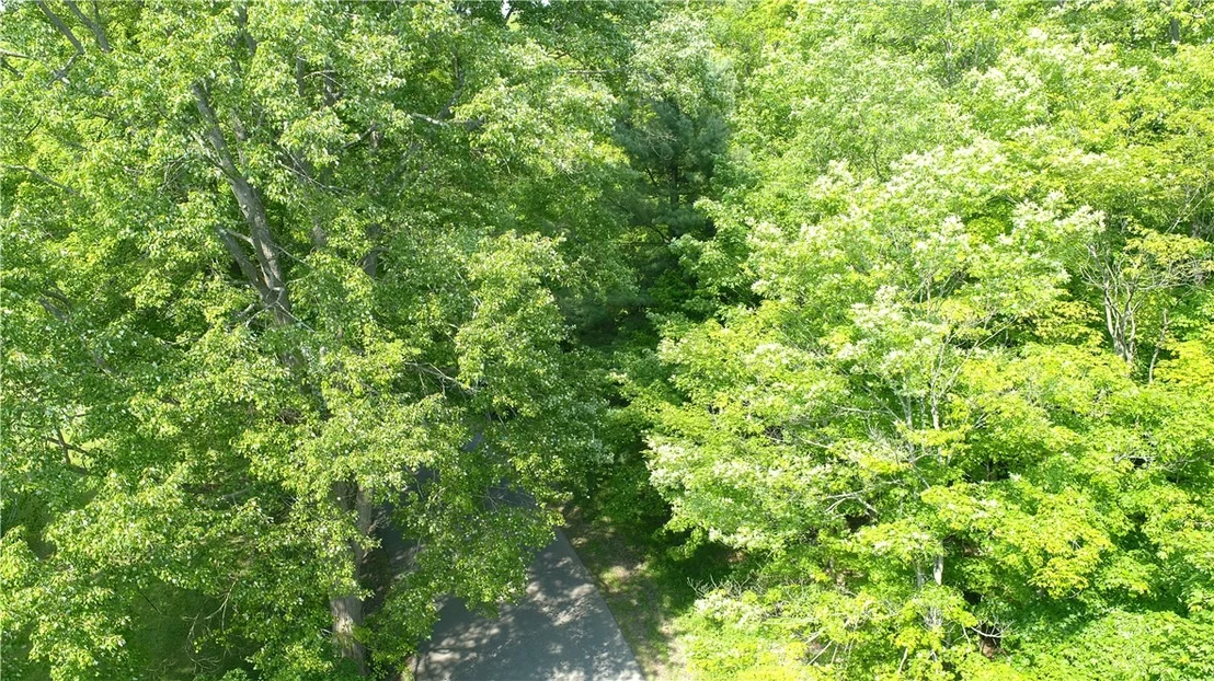 Photo of 5 Orr Street