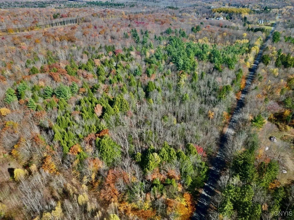 Photo of 2836 US Route 11