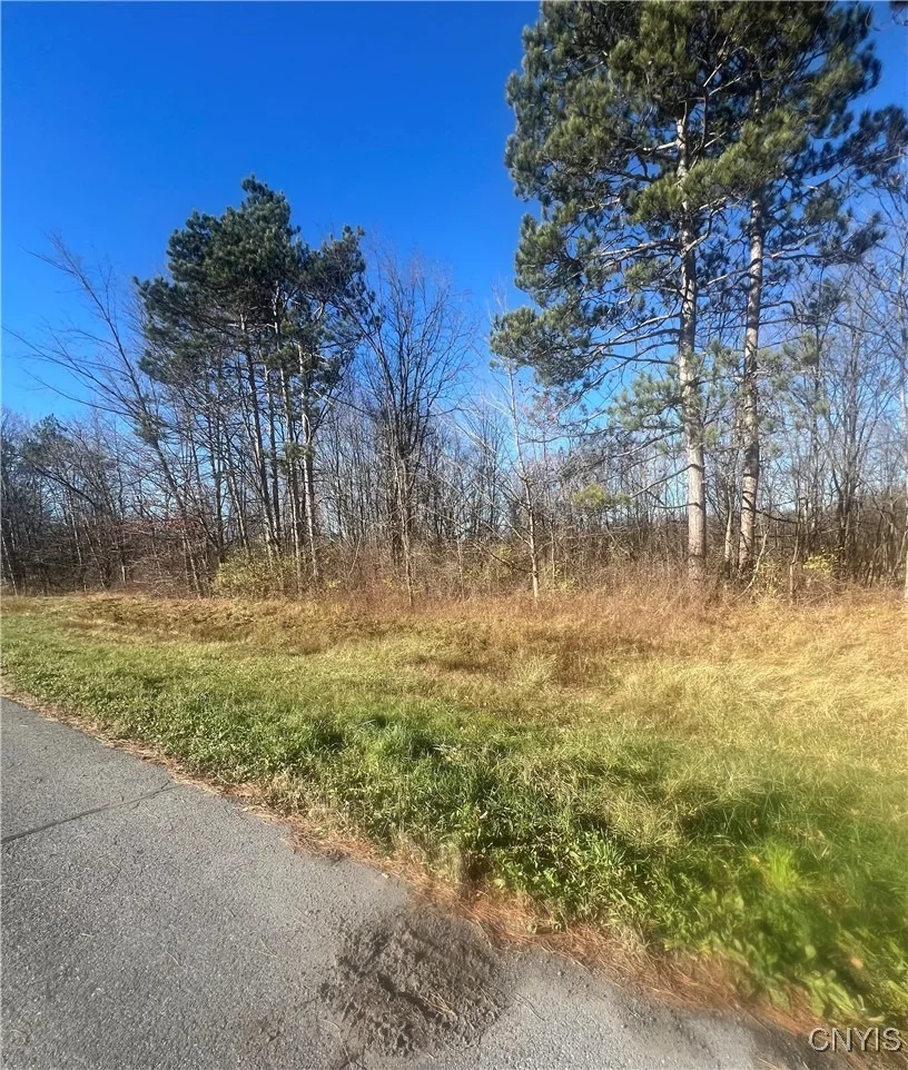 Photo of 00 US Route 11