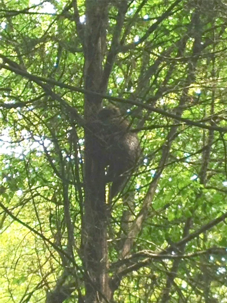 Photo of 188 Cummings Road