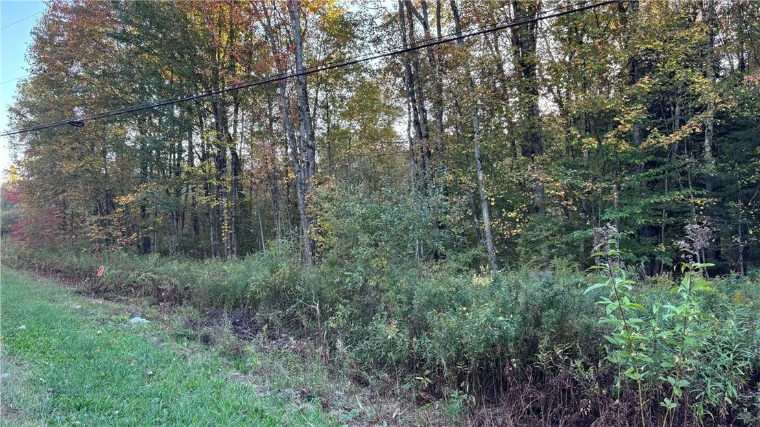 Photo of 273 White Road