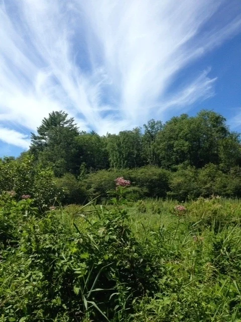 Photo of 188 Cummings Road