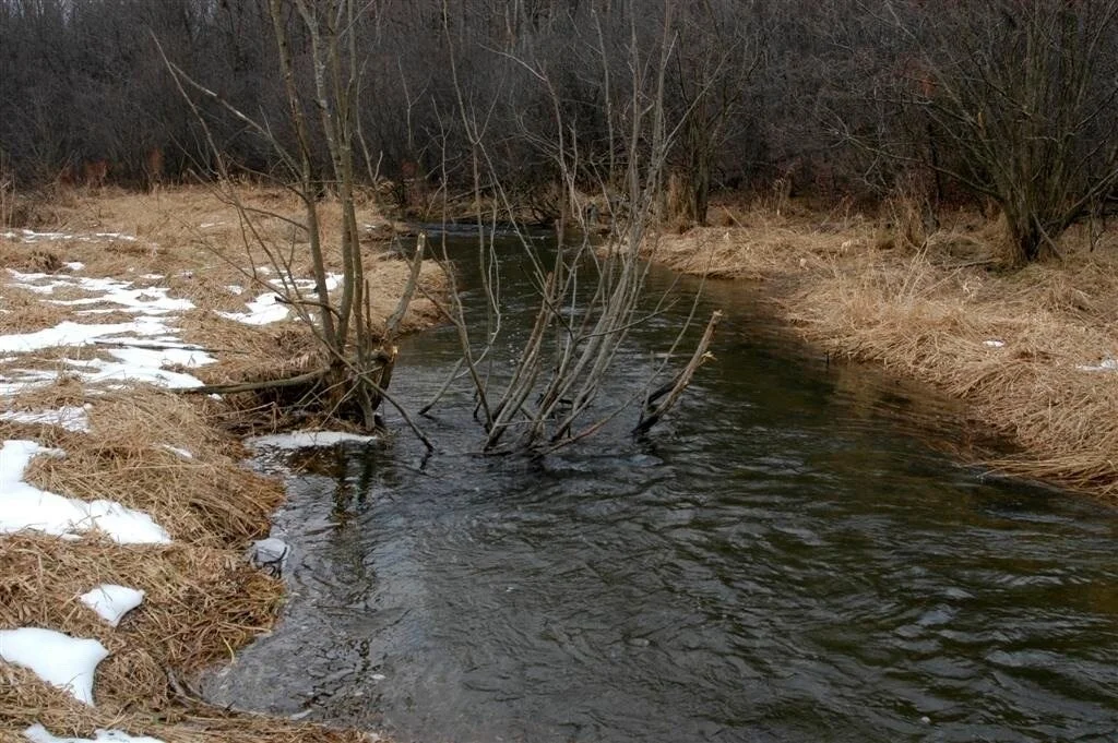 Photo of 188 Cummings Road