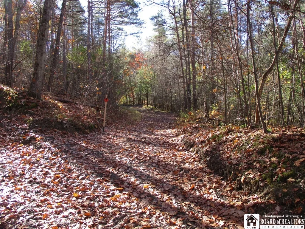 Photo of Gordon Brook