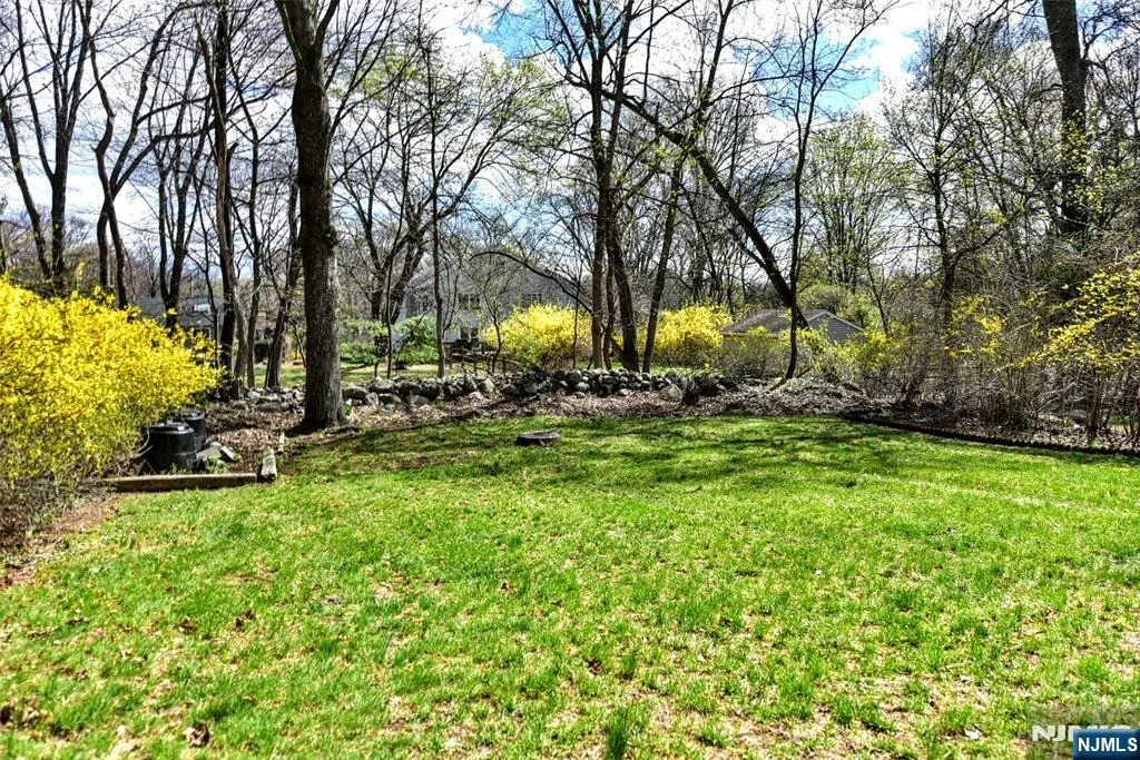 Photo of 16 Wilson
