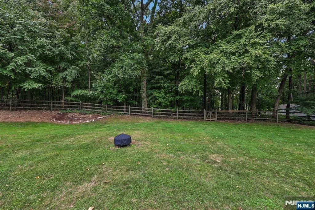 Photo of 12 Hemlock