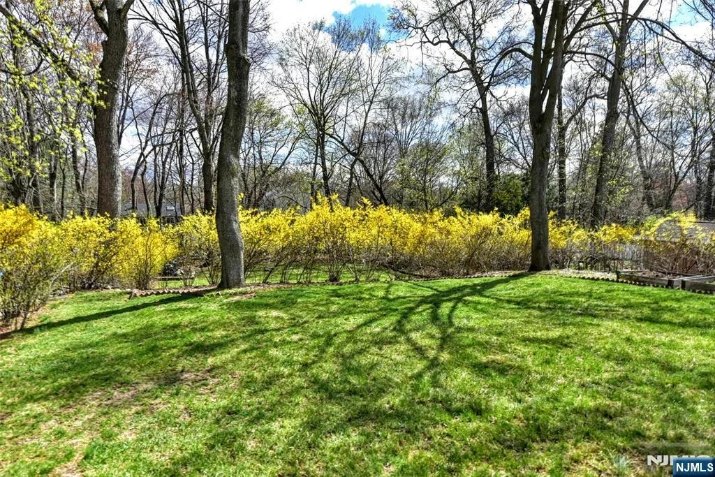 Photo of 16 Wilson