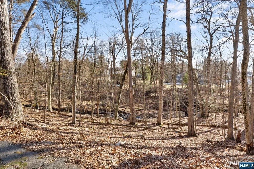 Photo of 20 Hidden Glen