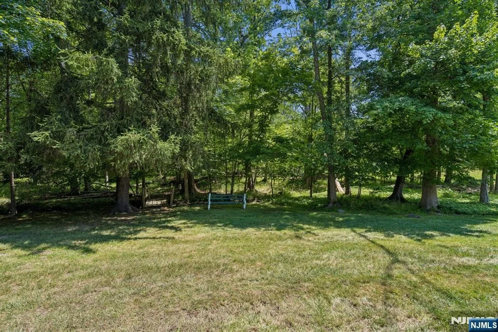 Photo of 7 Timber