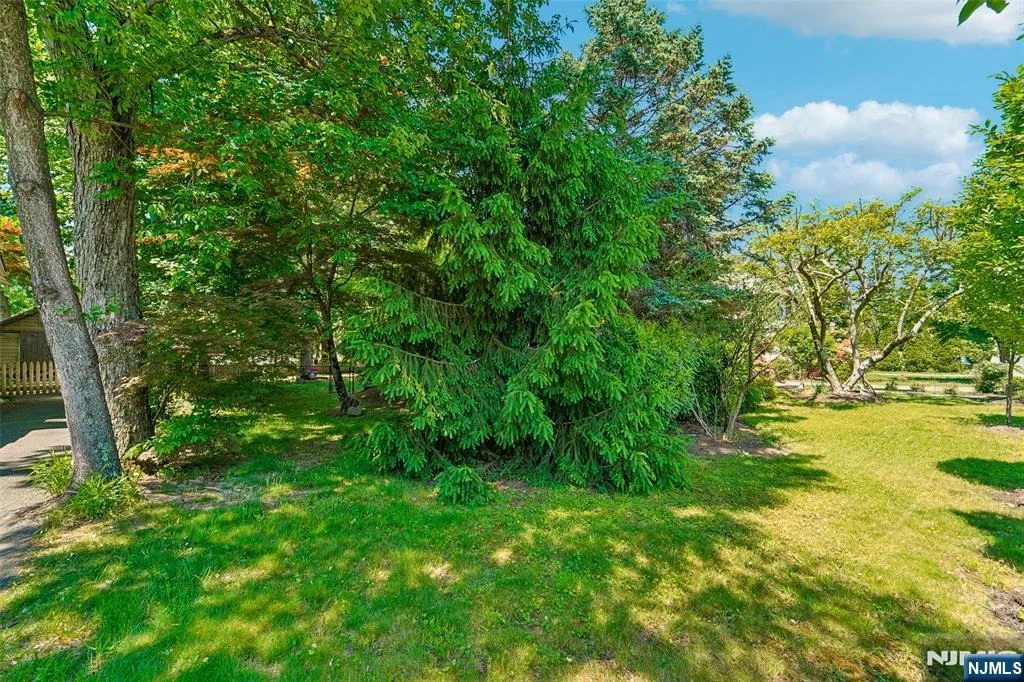 Photo of 173 Myrtle
