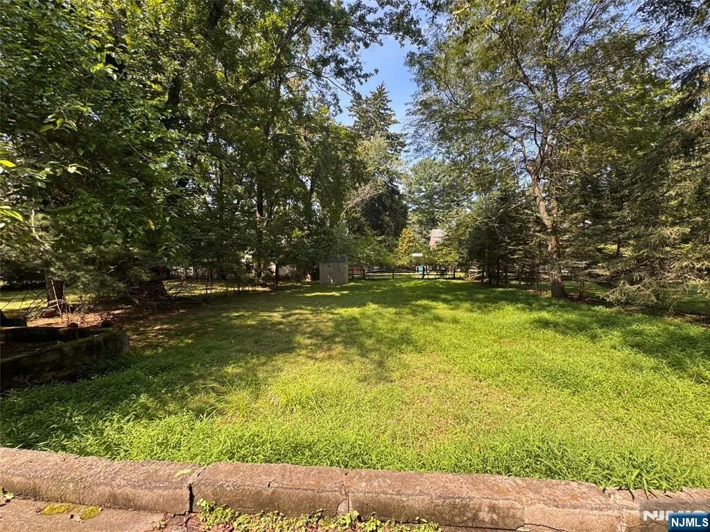 Photo of 25 Maple