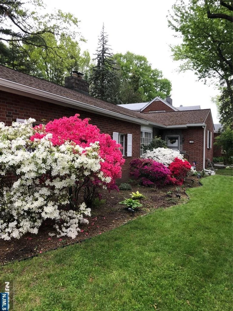 Photo of 149 Allen