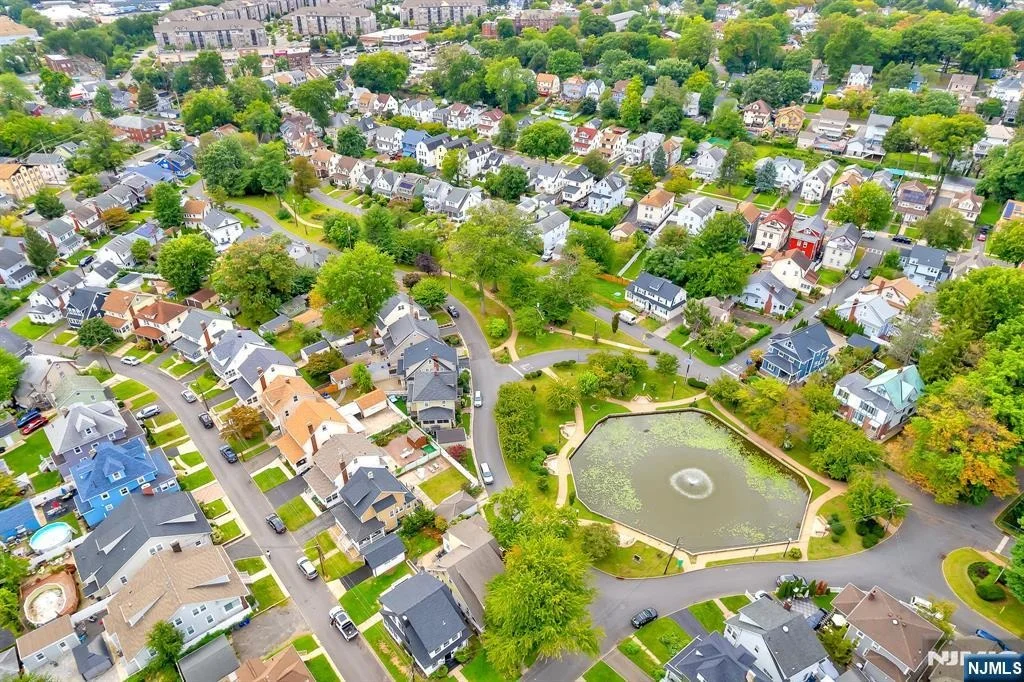 Photo of 9 Halcyon