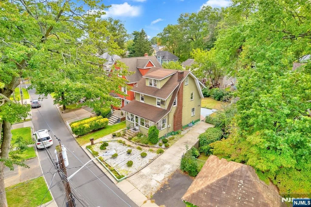 Photo of 9 Halcyon