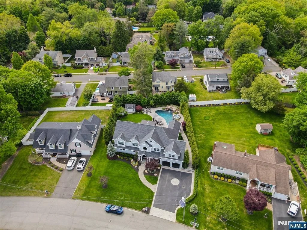 Photo of 11 Amelia