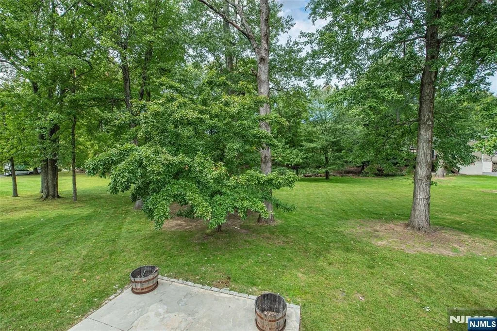 Photo of 531 Mountain