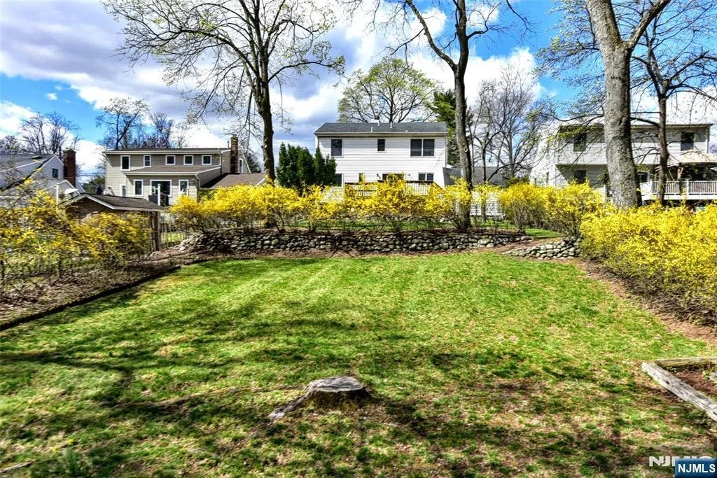 Photo of 16 Wilson