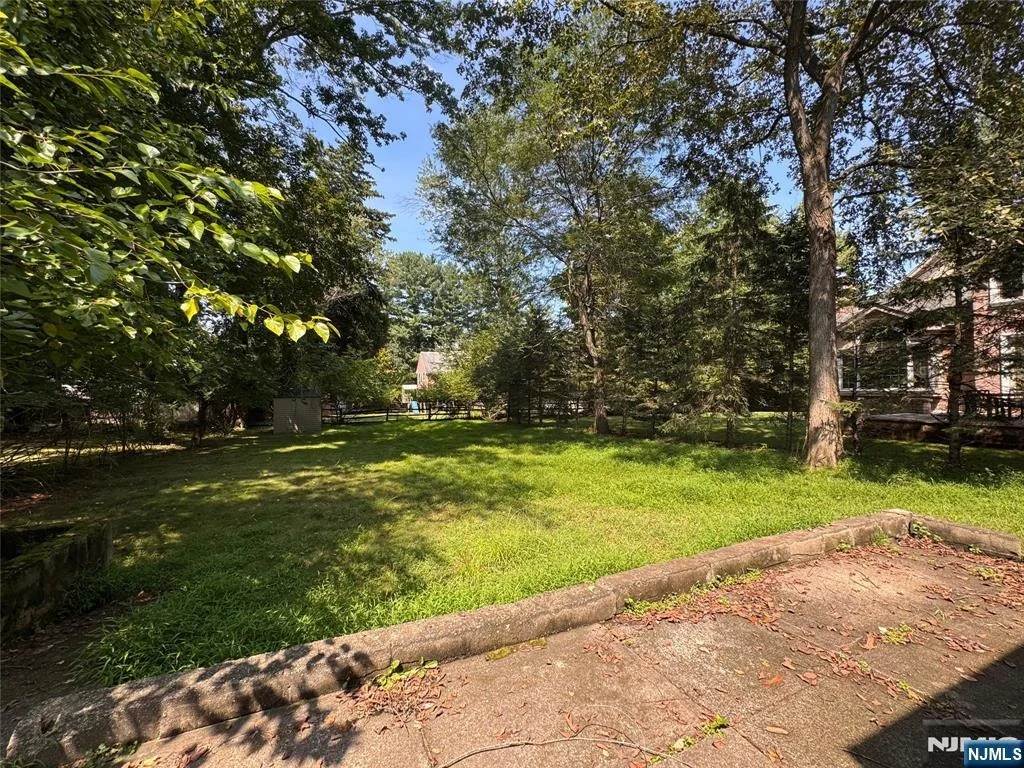Photo of 25 Maple