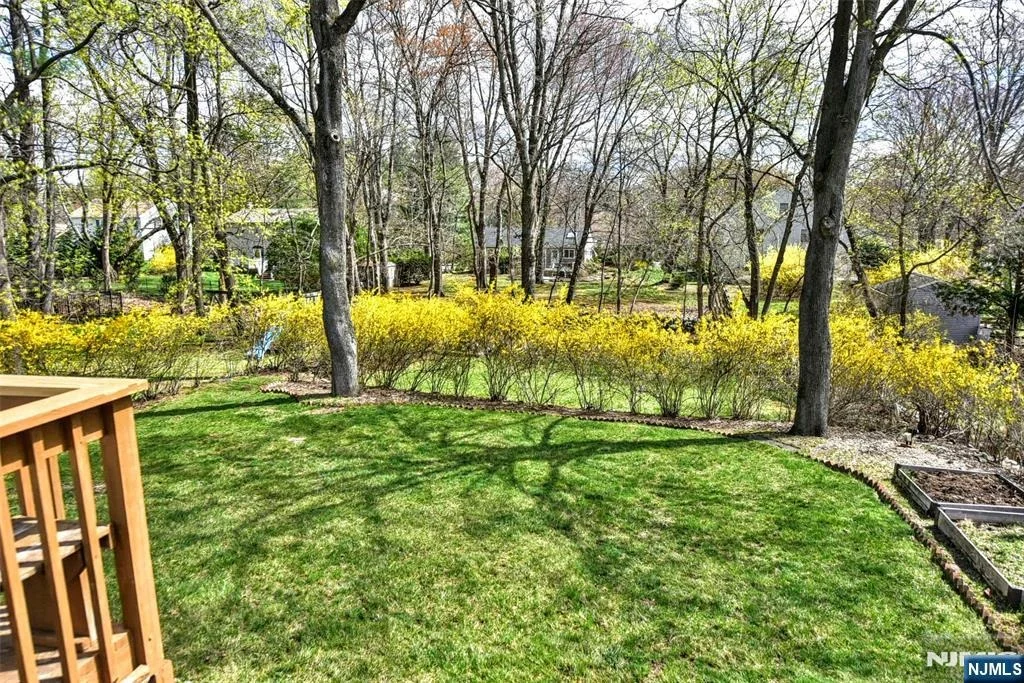 Photo of 16 Wilson