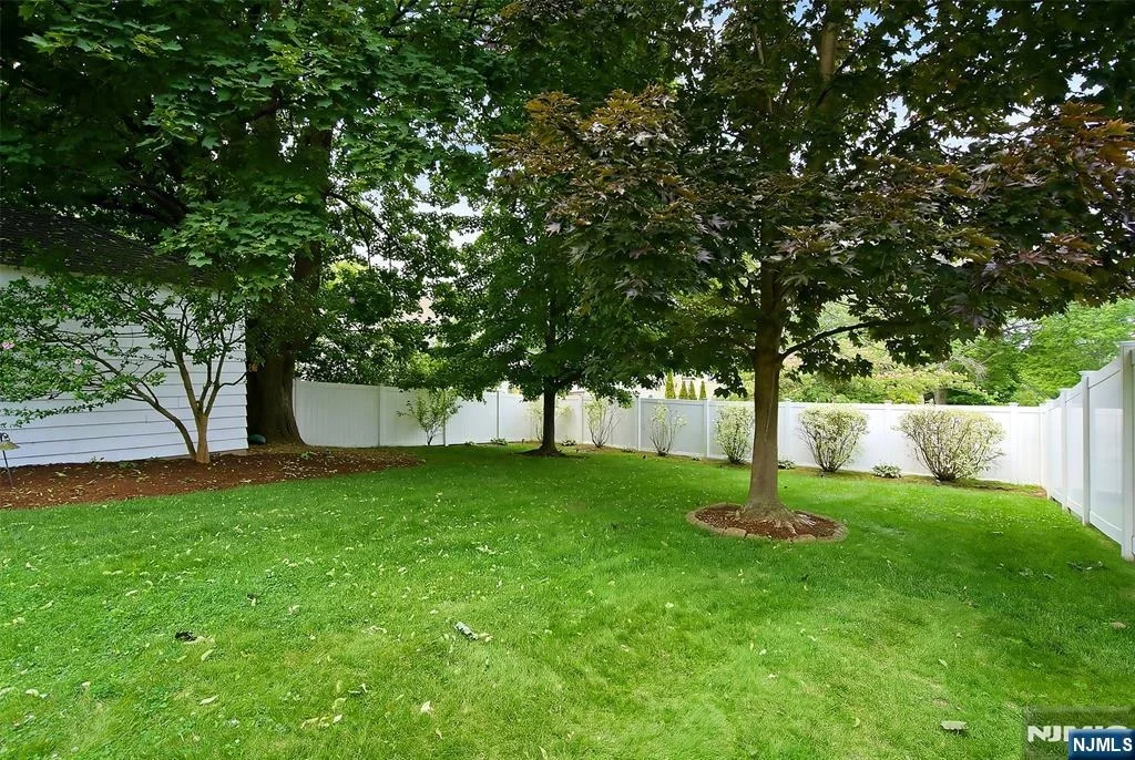 Photo of 156 Larch