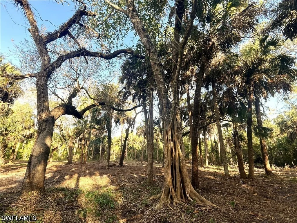 Photo of 2250 North Road