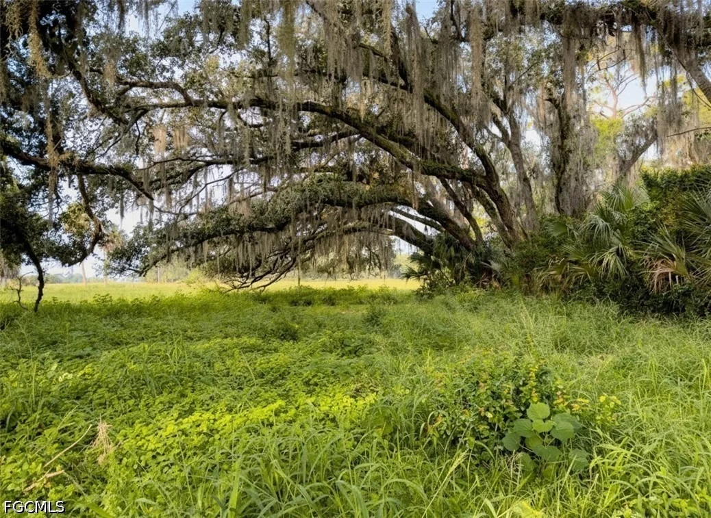 Photo of 3291 Fort Denaud Road