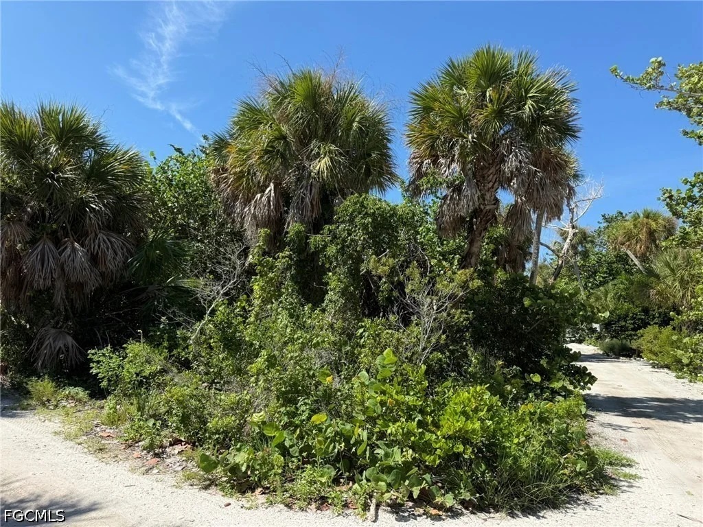 Photo of 4486 Hammock Court