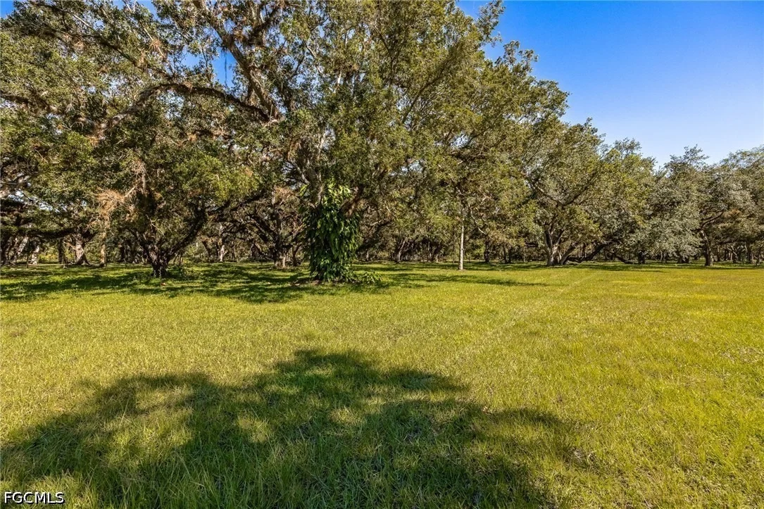 Photo of 2348 Nine Mile Road
