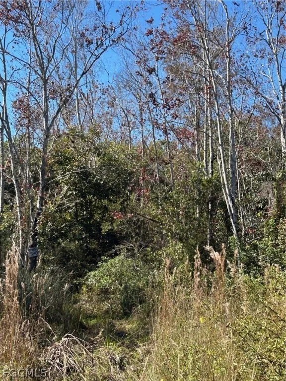 Photo of 
