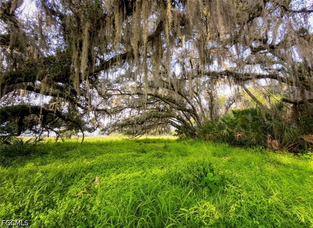 Photo of 3291 Fort Denaud Road
