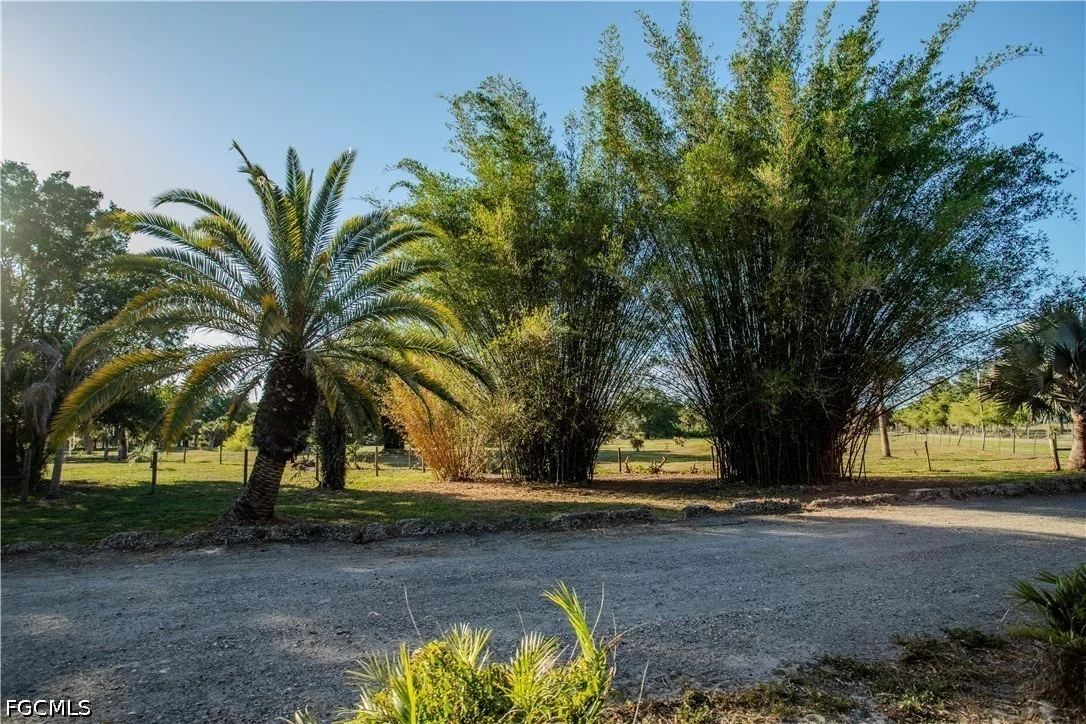 Photo of 3880 Packinghouse Road