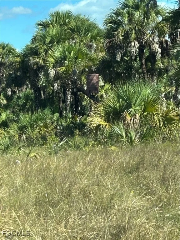Photo of 