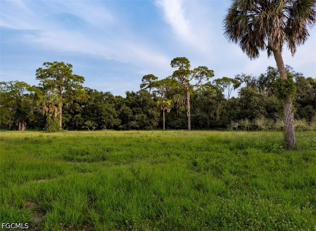Photo of 3291 Fort Denaud Road